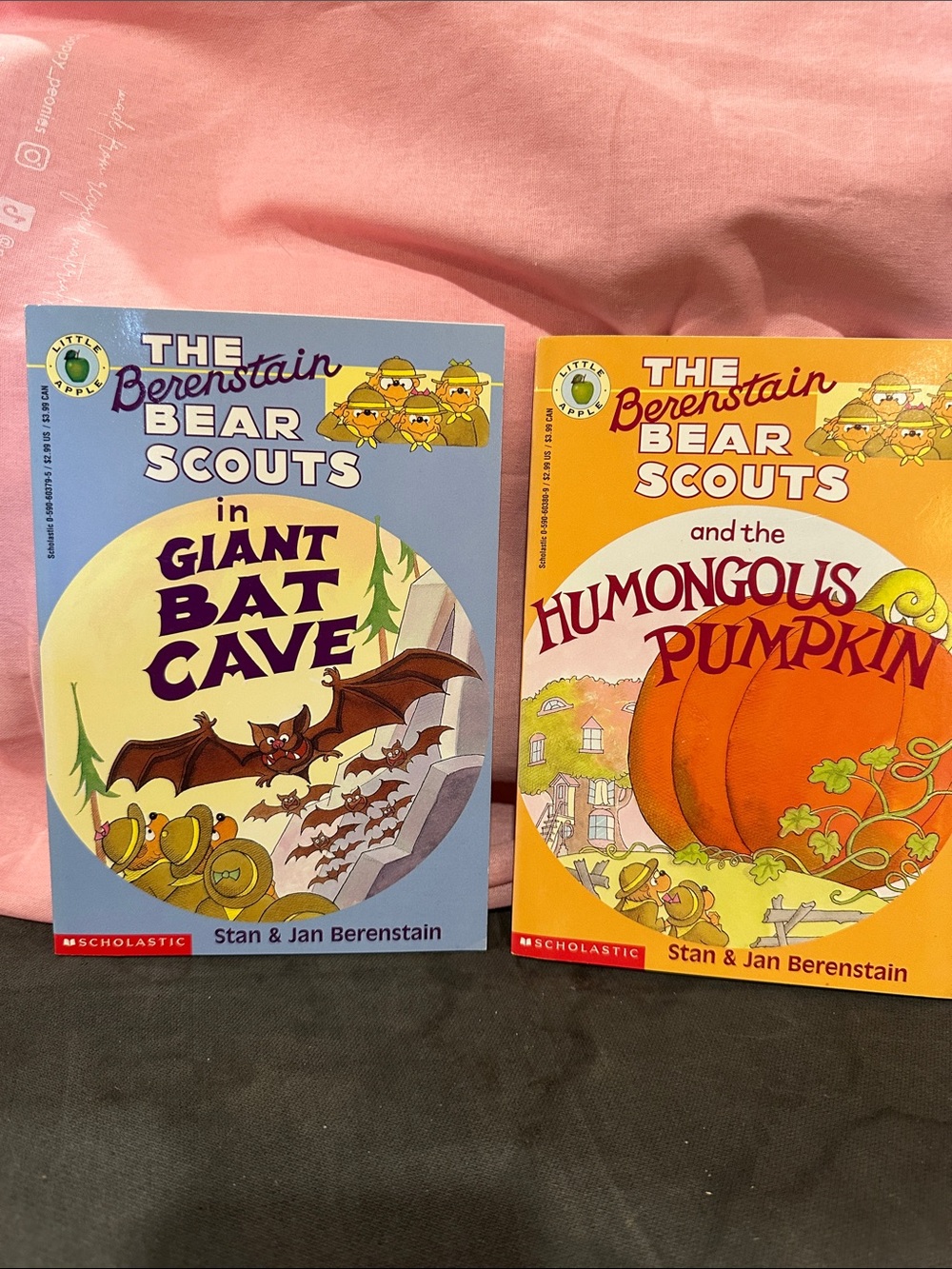 Scholastic The Berenstain Bear Scouts Book Set